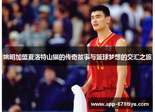 姚明加盟夏洛特山猫的传奇故事与篮球梦想的交汇之旅